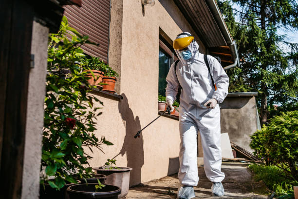 Best Bed Bug Extermination  in Bay Point, CA