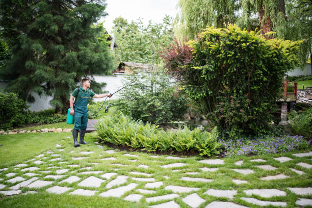 Trusted Bay Point, CA Pest Control Experts